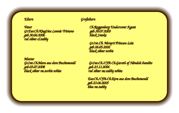 Eltern                                                        Großeltern  Vater                                                                    Ch.Roggenberg Undercover Agent Gr.Eur.Ch.KingSize Lennie Tristano                   geb.30.07.2000 geb.30.06.2006                                                     black Smoke red silver cl.tabby                                                                              Gr.Int.Ch. Monpti Princess Leia                                                                              geb.26.05.2002                                                                              black silver torbie  Mutter Gr.Int.Ch.Mara aus dem Buchenwald                Gr.Int.Ch./CFA-Ch.Gareth of Händels bandits geb.03.07.2008                                                    geb.23.11.2006 black silver mc.torbie white                                red silver mc.tabby white                                                                             Eur.Ch./CFA-Ch.Kora aus dem Buchenwald                                                                            geb.23.06.2005                                                                            blue mc.tabby
