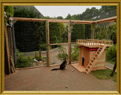 Terrasse mit Katzenhaus